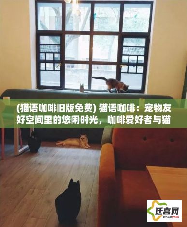 (猫语咖啡旧版免费) 猫语咖啡：宠物友好空间里的悠闲时光，咖啡爱好者与猫咪的完美融合